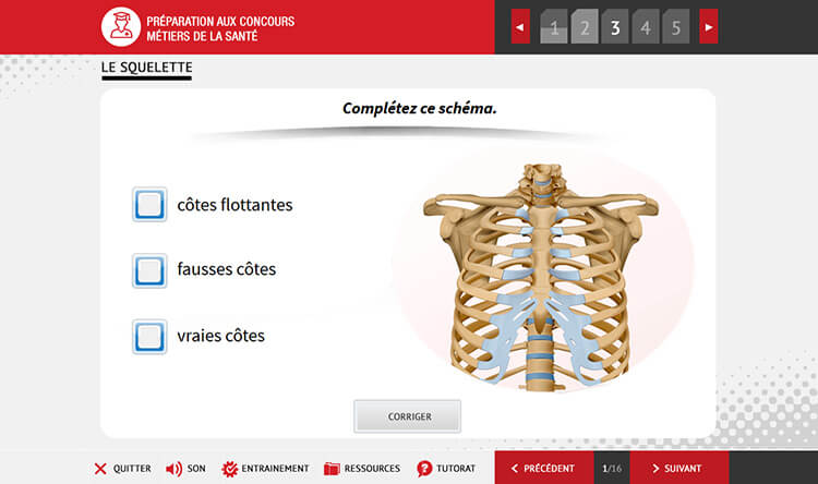 Exemple de contenu de formation Anatomie et Biologie