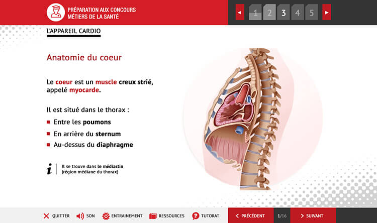Exemple de contenu de formation Anatomie et Biologie