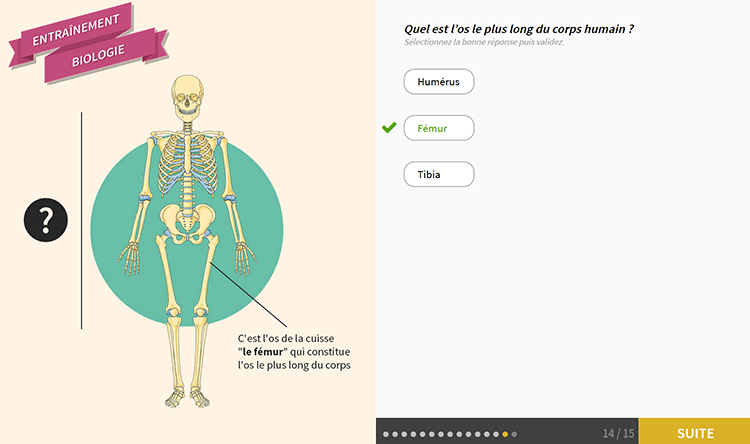 Exemple de contenu de formation de Quiz Formatif