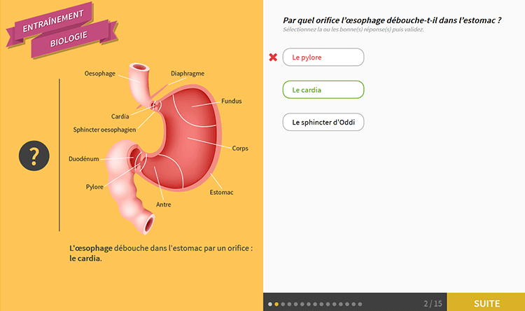 Exemple de contenu de formation de Quiz Formatif