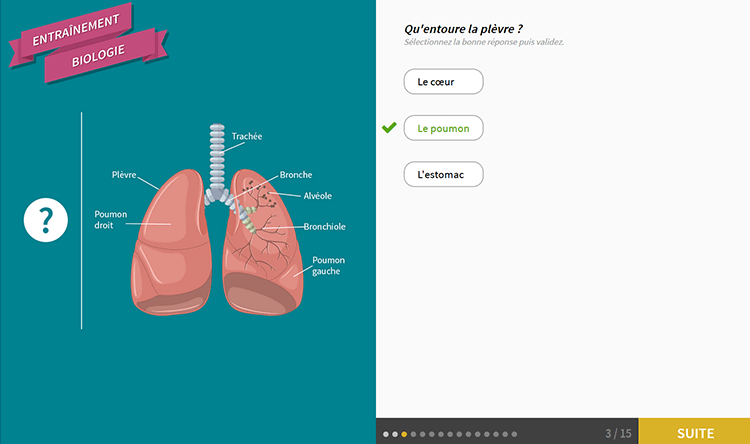 Exemple de contenu de formation de Quiz Formatif