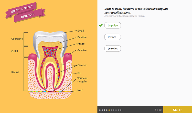 Exemple de contenu de formation Préparation aux concours