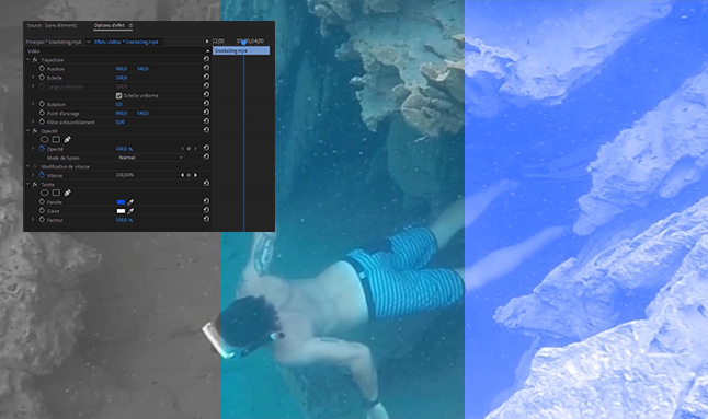 Exemple de contenu de formation Premiere Pro